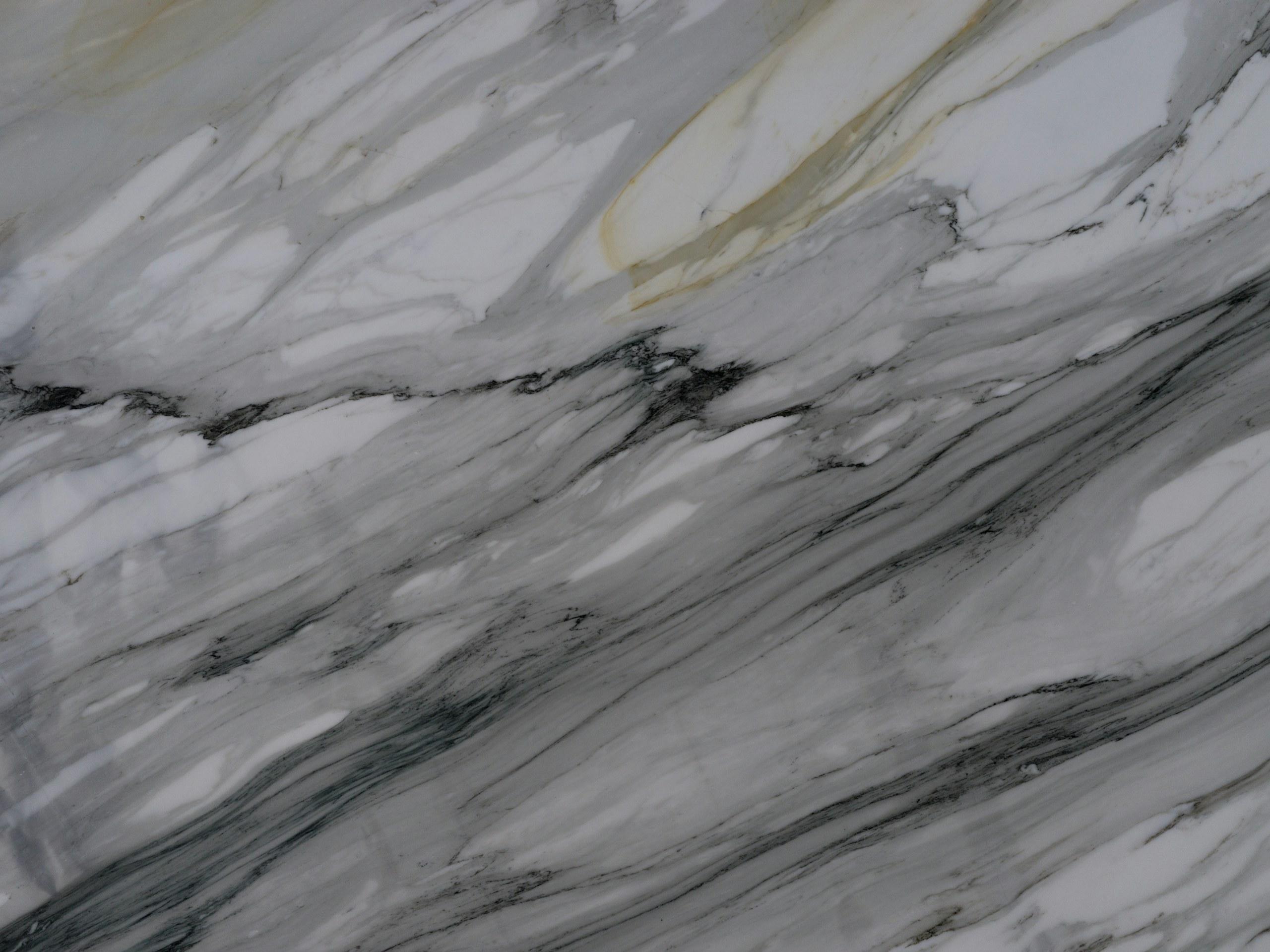 Panda White Marble