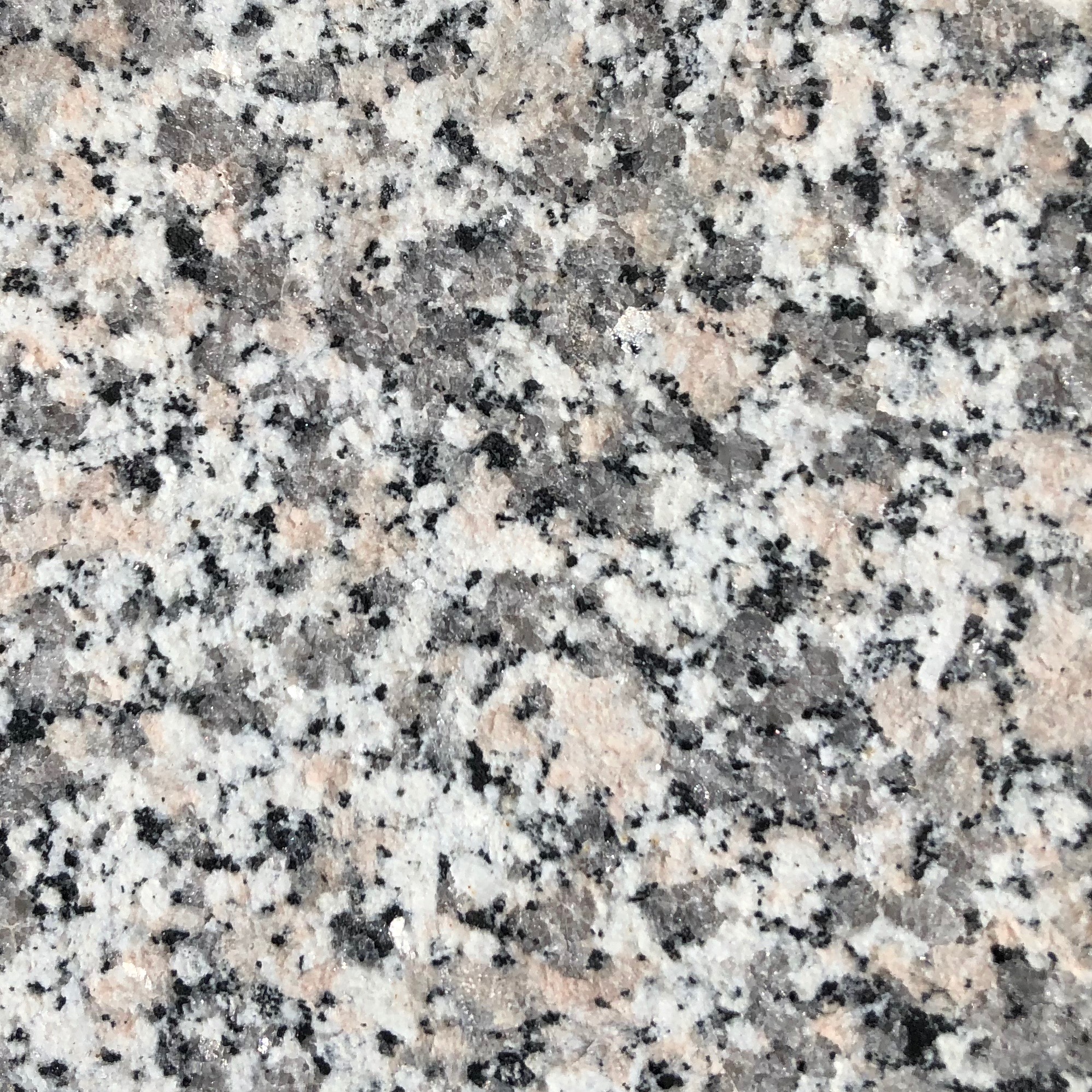 BIANCO-SARDO