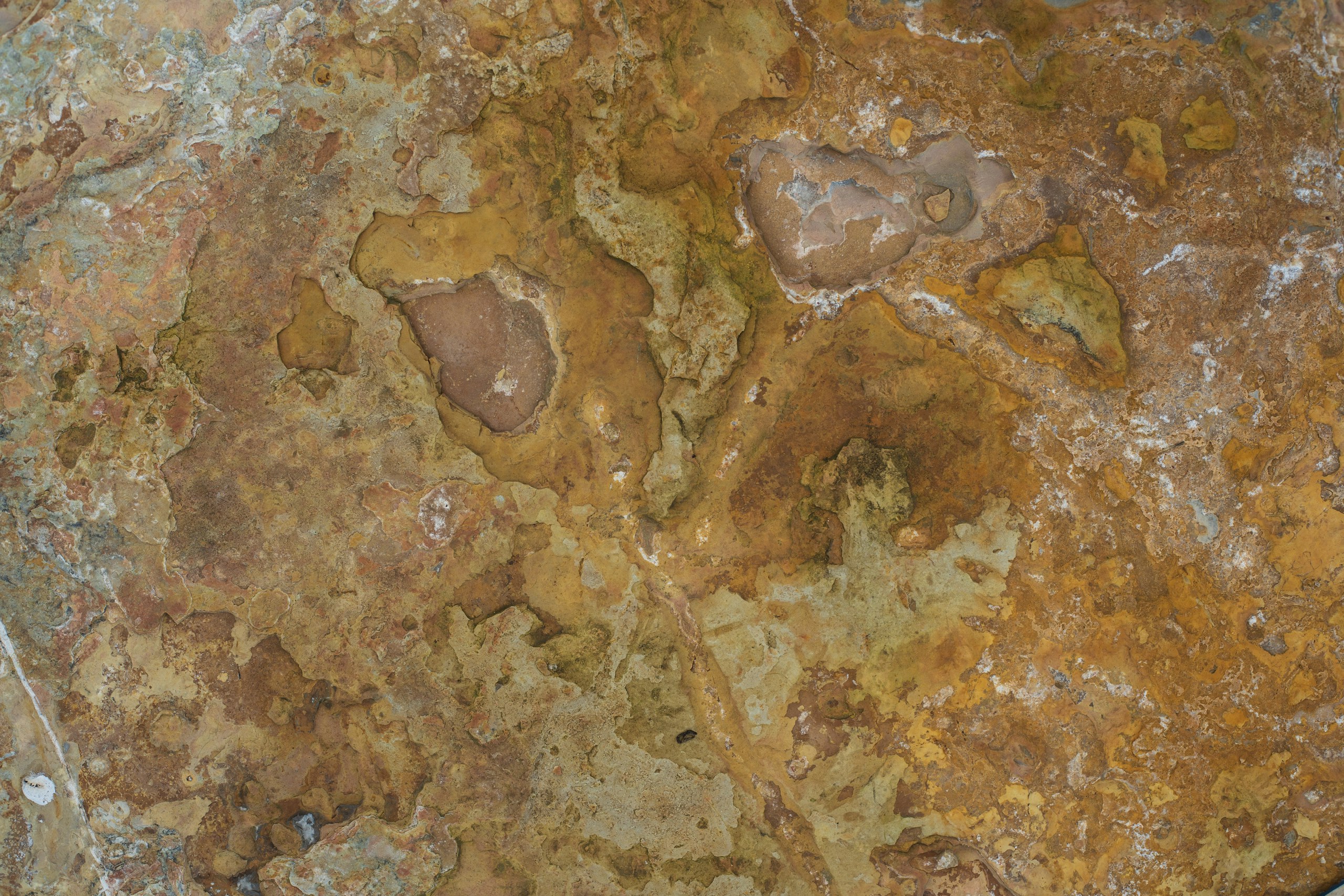Brown Travertine