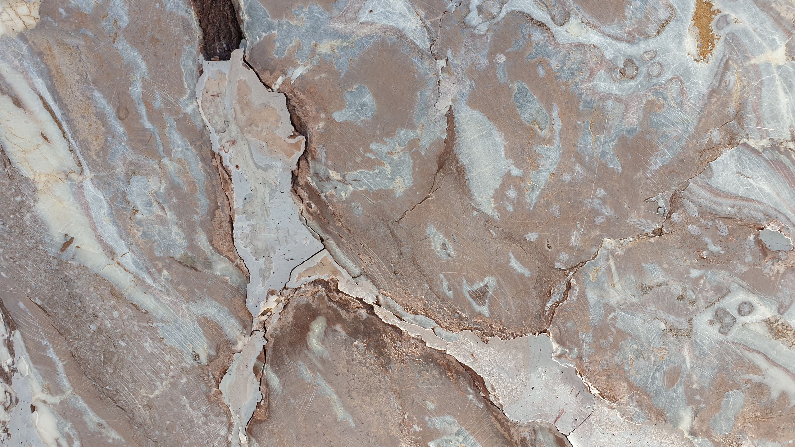 Pallendro Marble