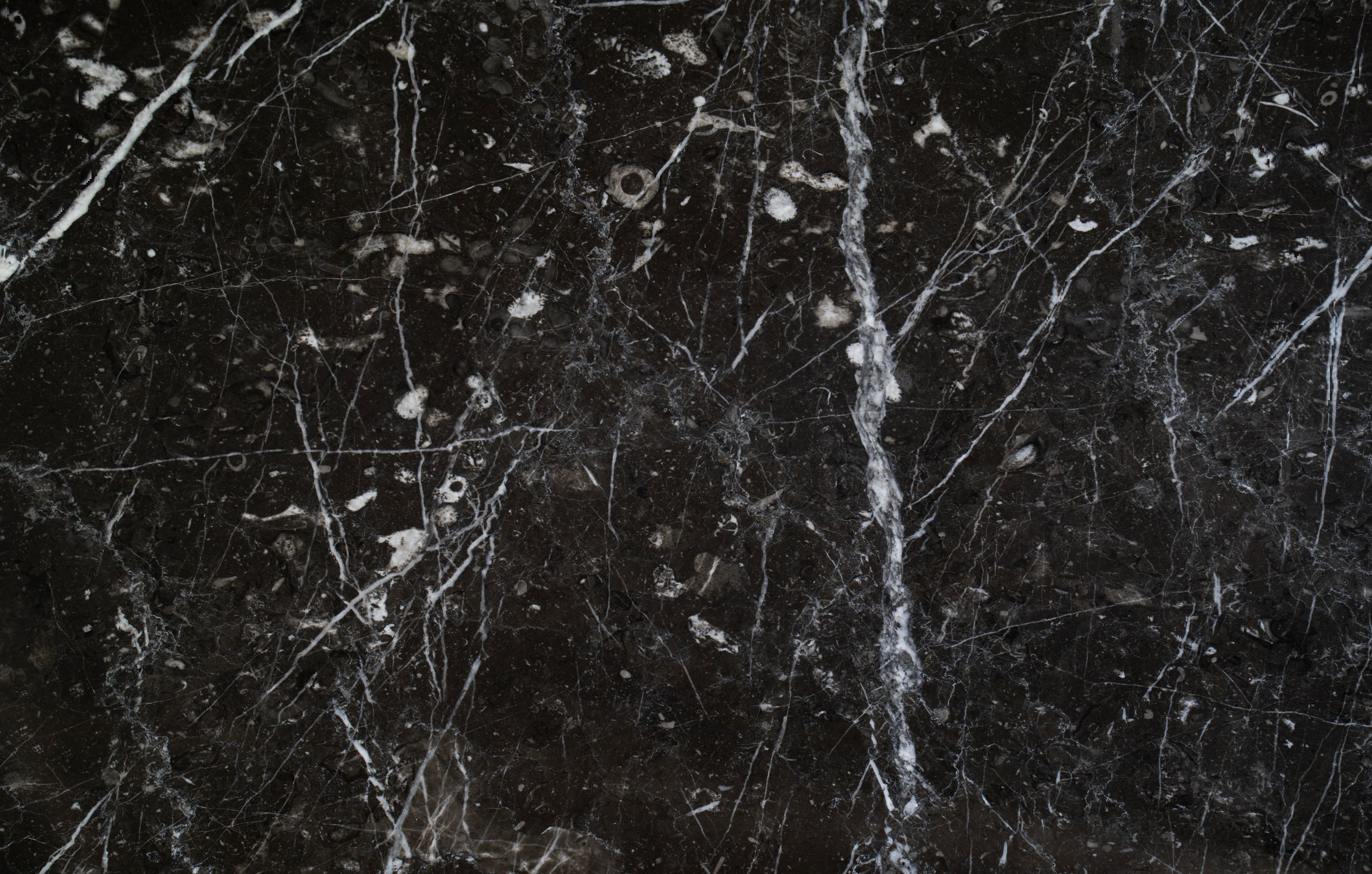 Pietro Grey Marble