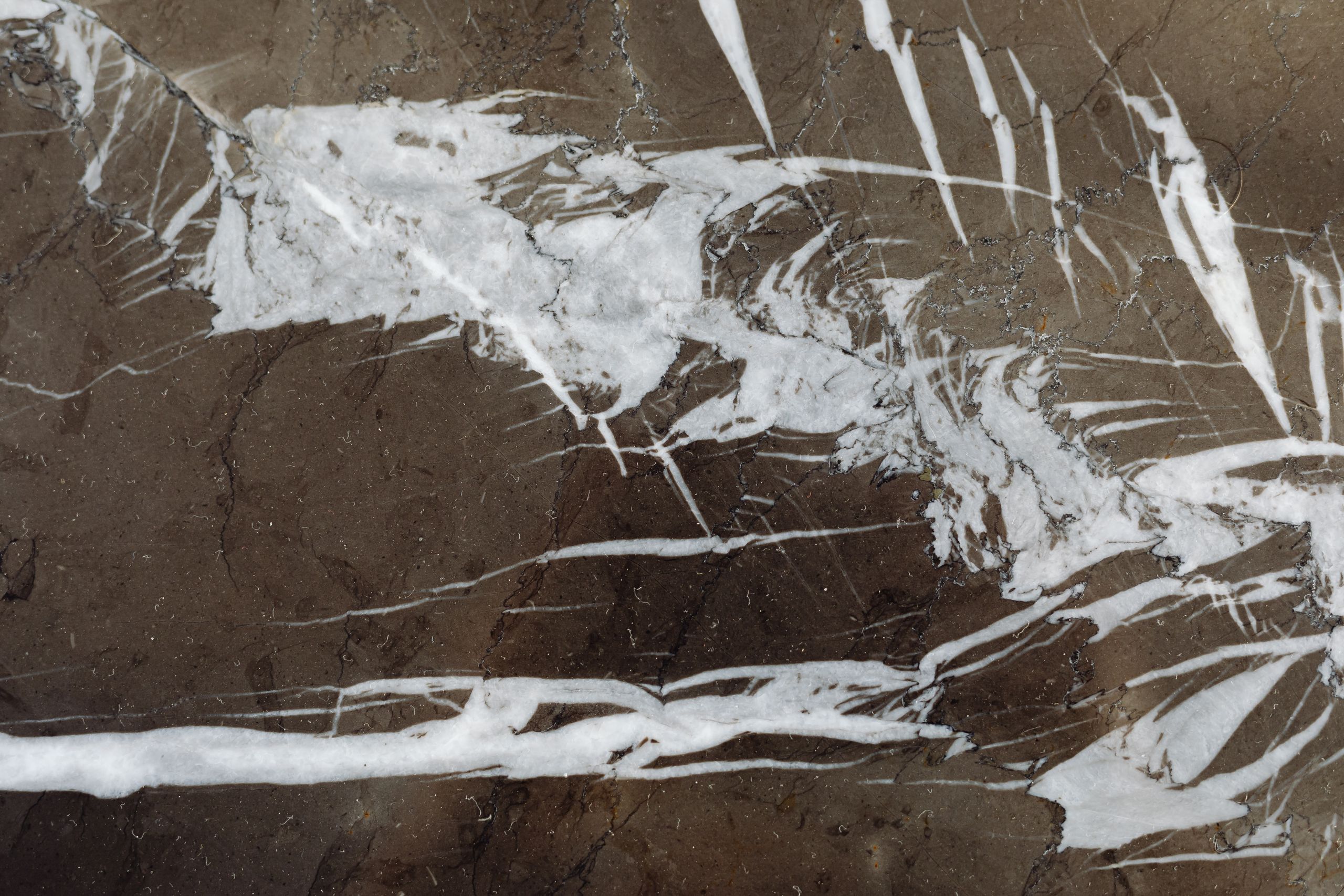 Pietro Grey Marble