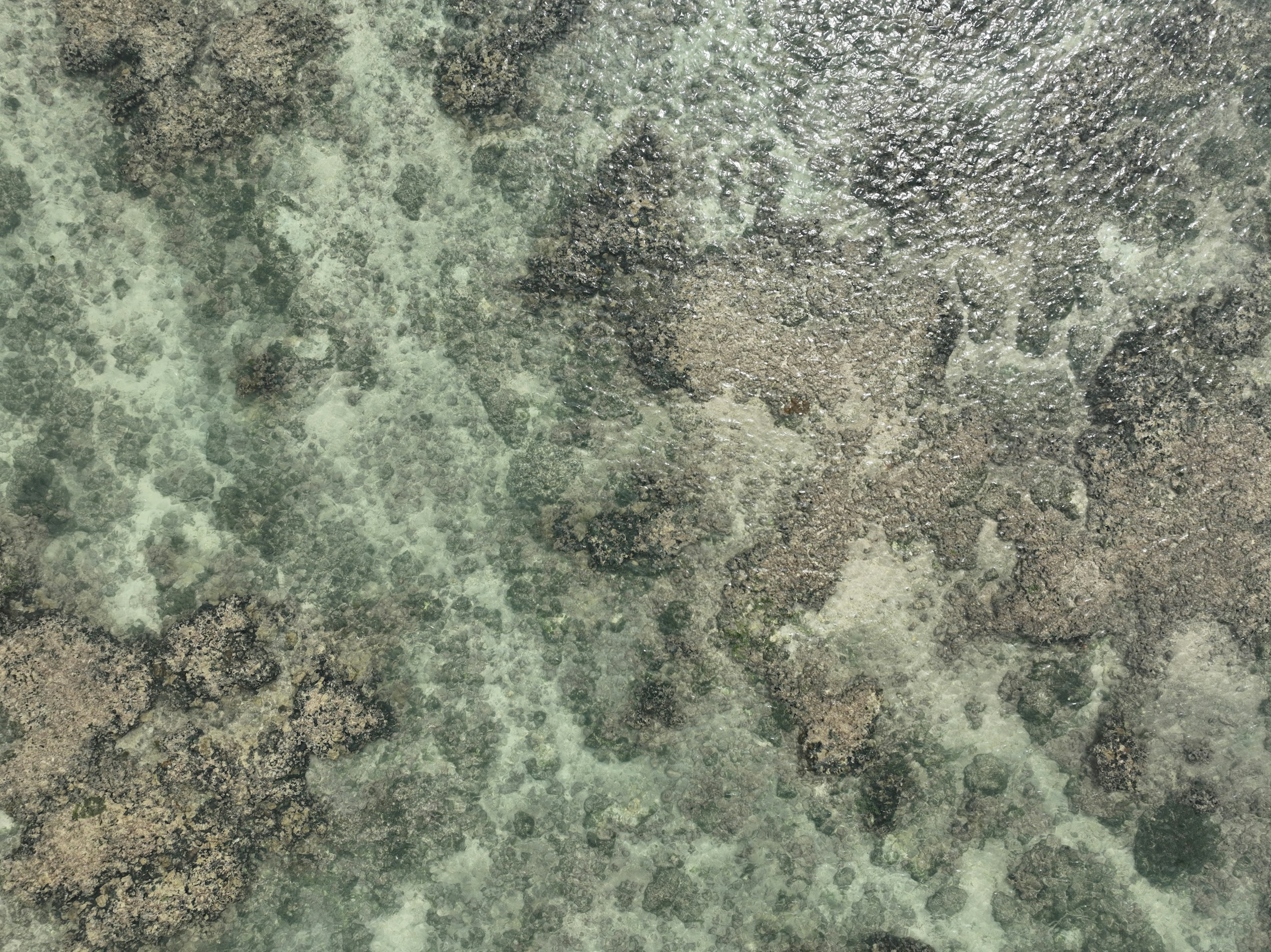Indian Green Marble