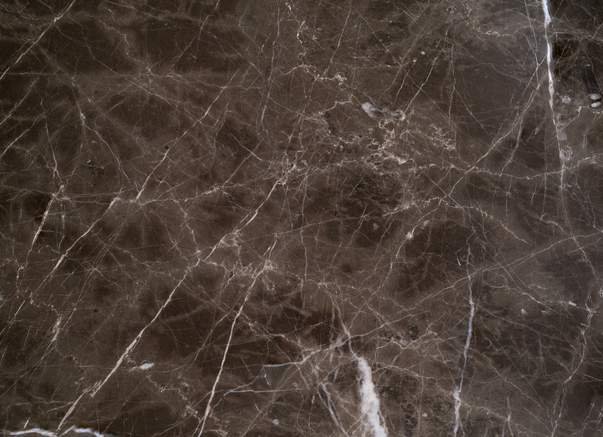 Pietro Grey Marble