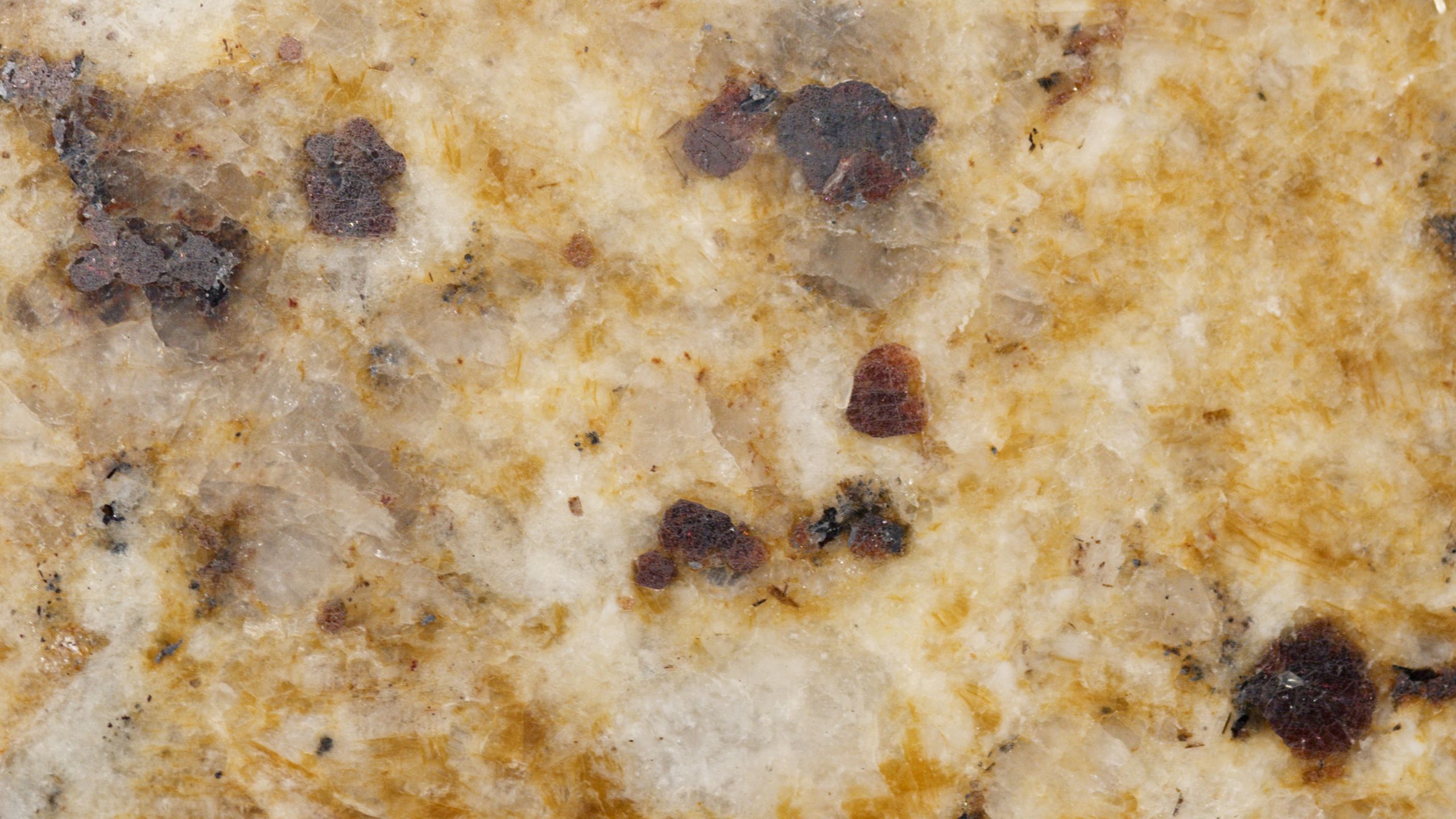 Calacatta Gold