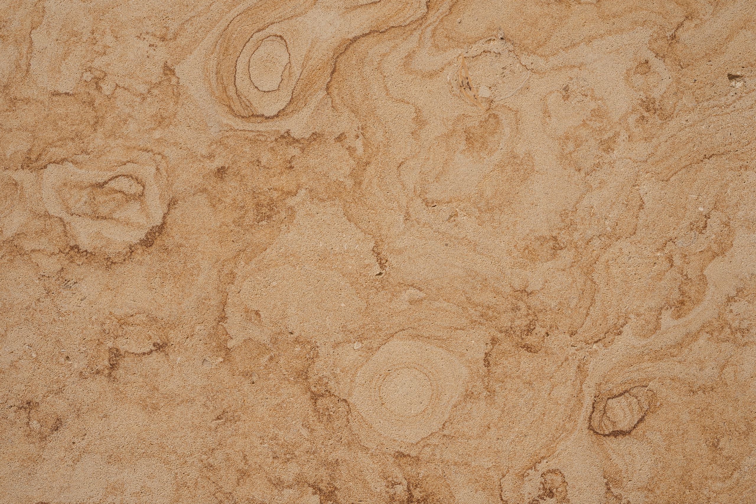 Brown Travertine
