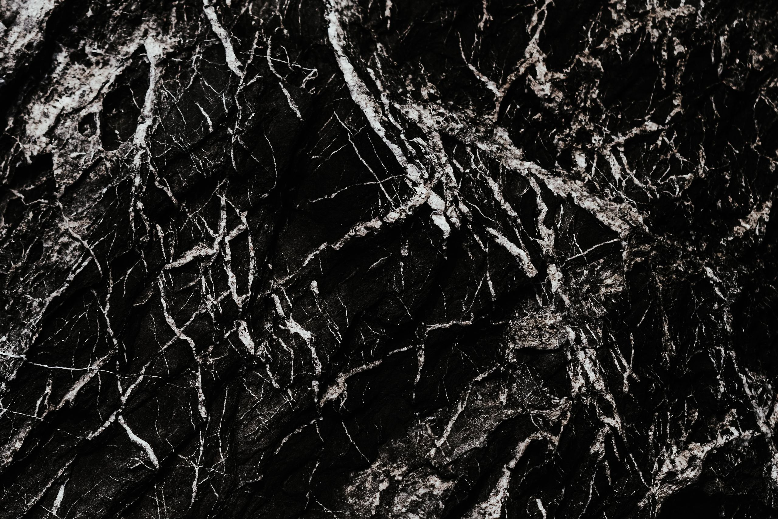 Black Forest