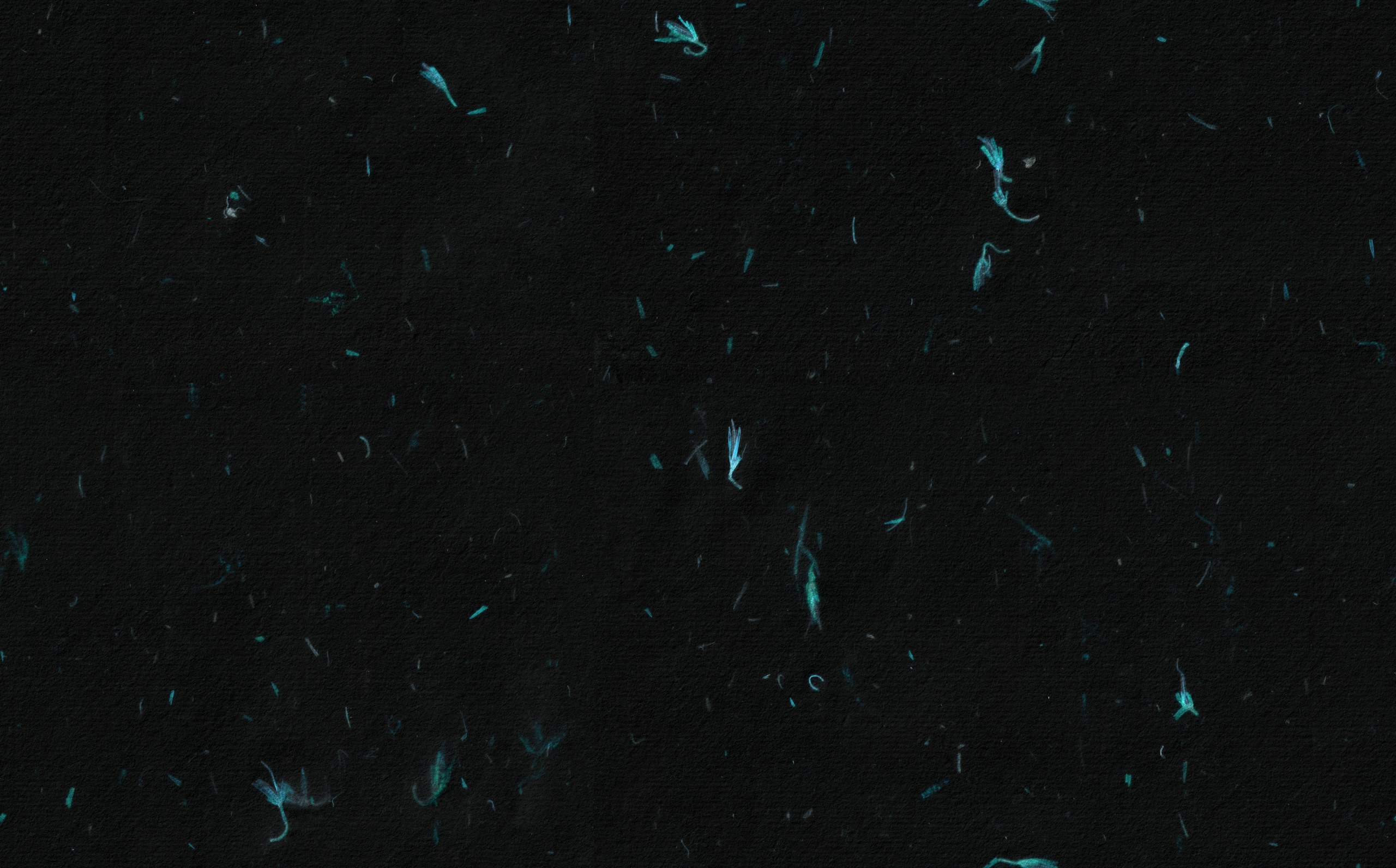 Emerald Pearl